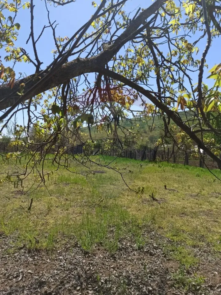 Land, 15 ares — Image 4