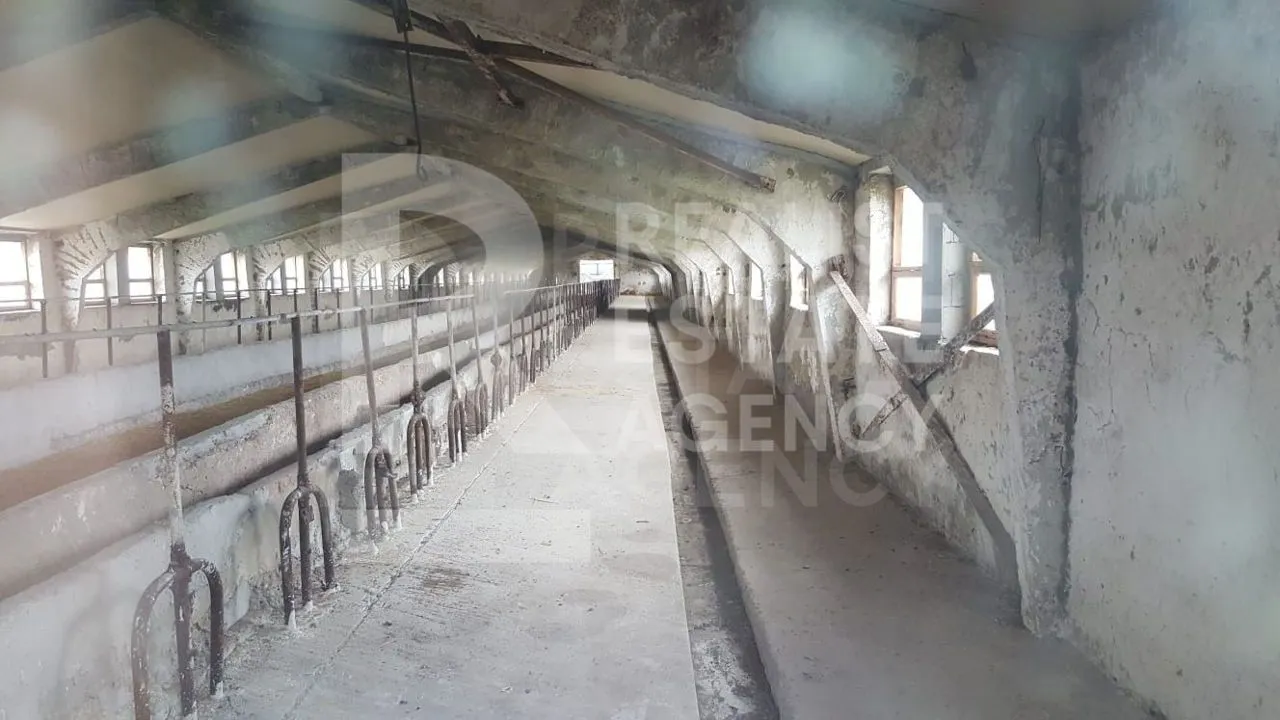 Склад, 6 500 м² — Изображение 4