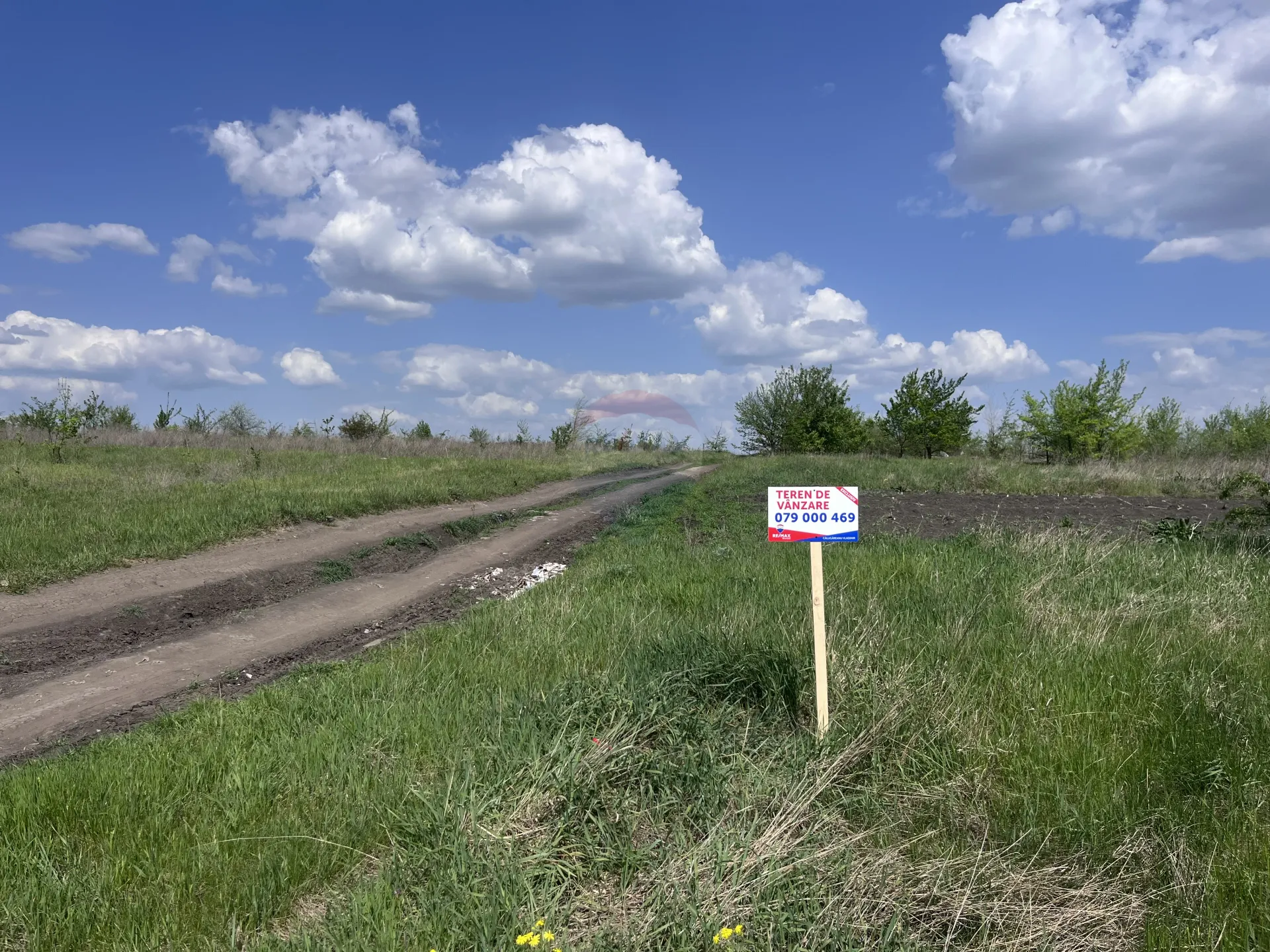 Land, 10 ares — Image 2