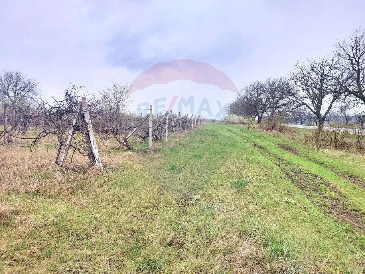 Commercial Land, 88 ares — Image 1