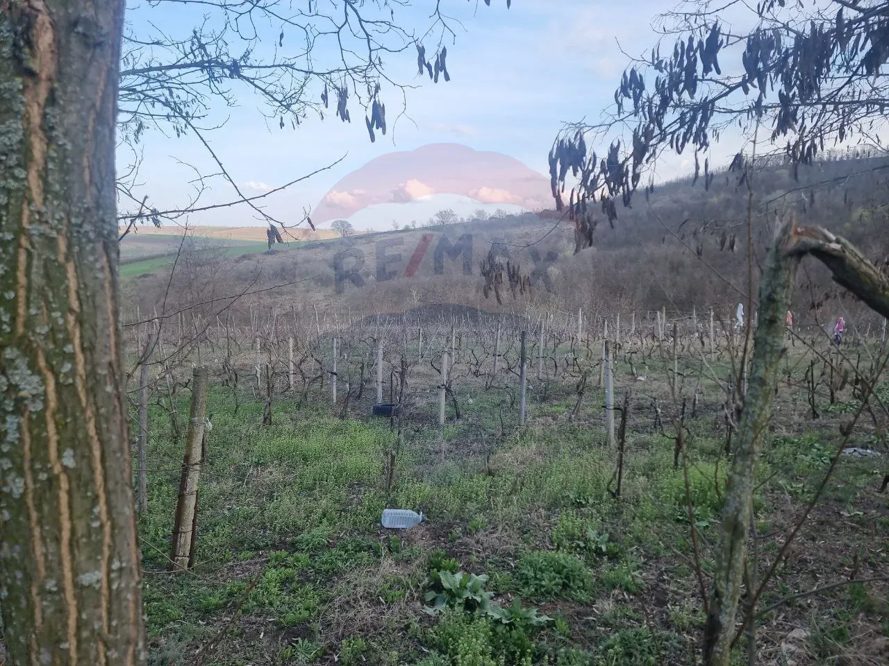 Commercial Land, 70 ares — Image 5