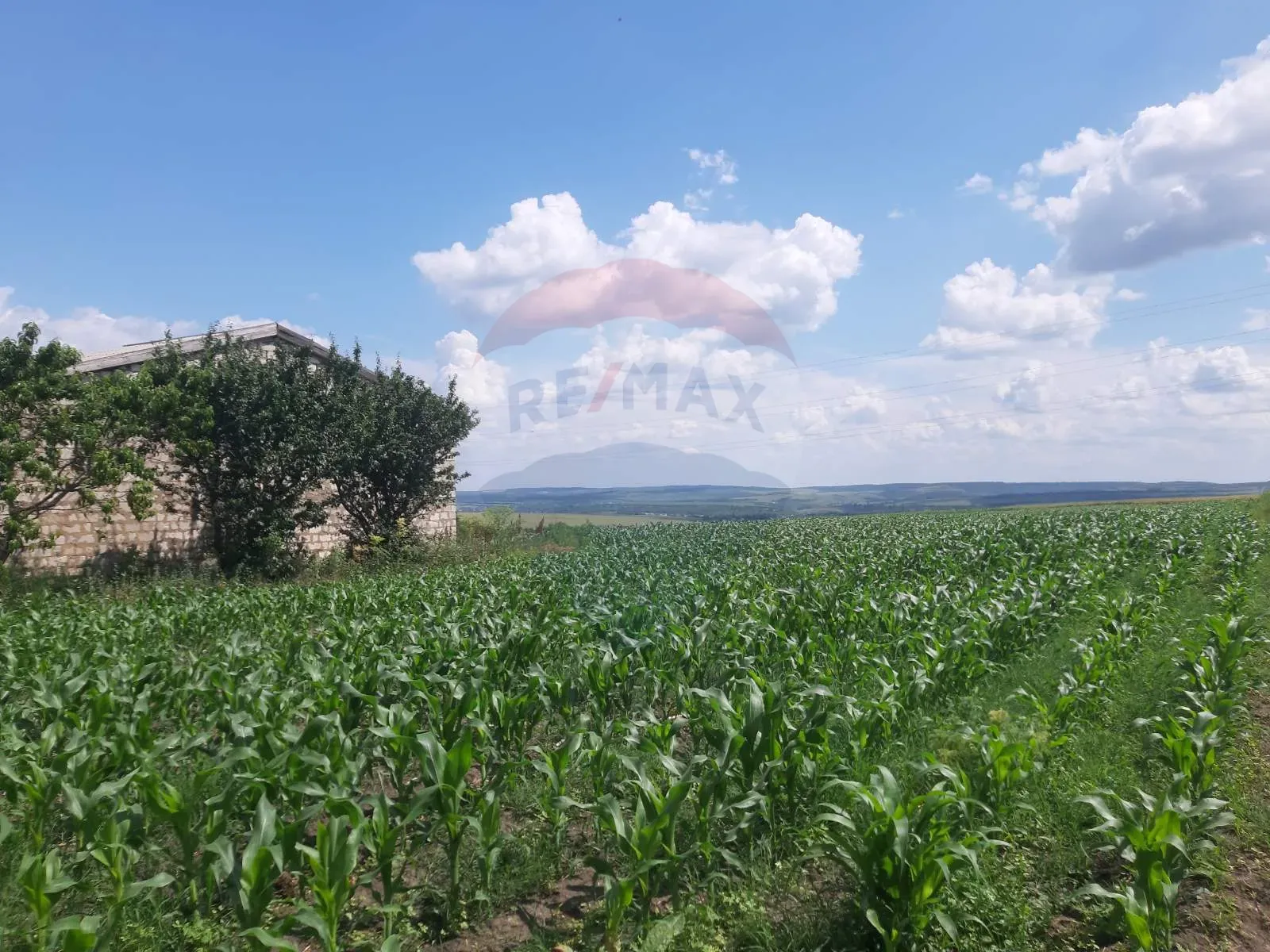 Commercial Land, 4.10 ares — Image 7