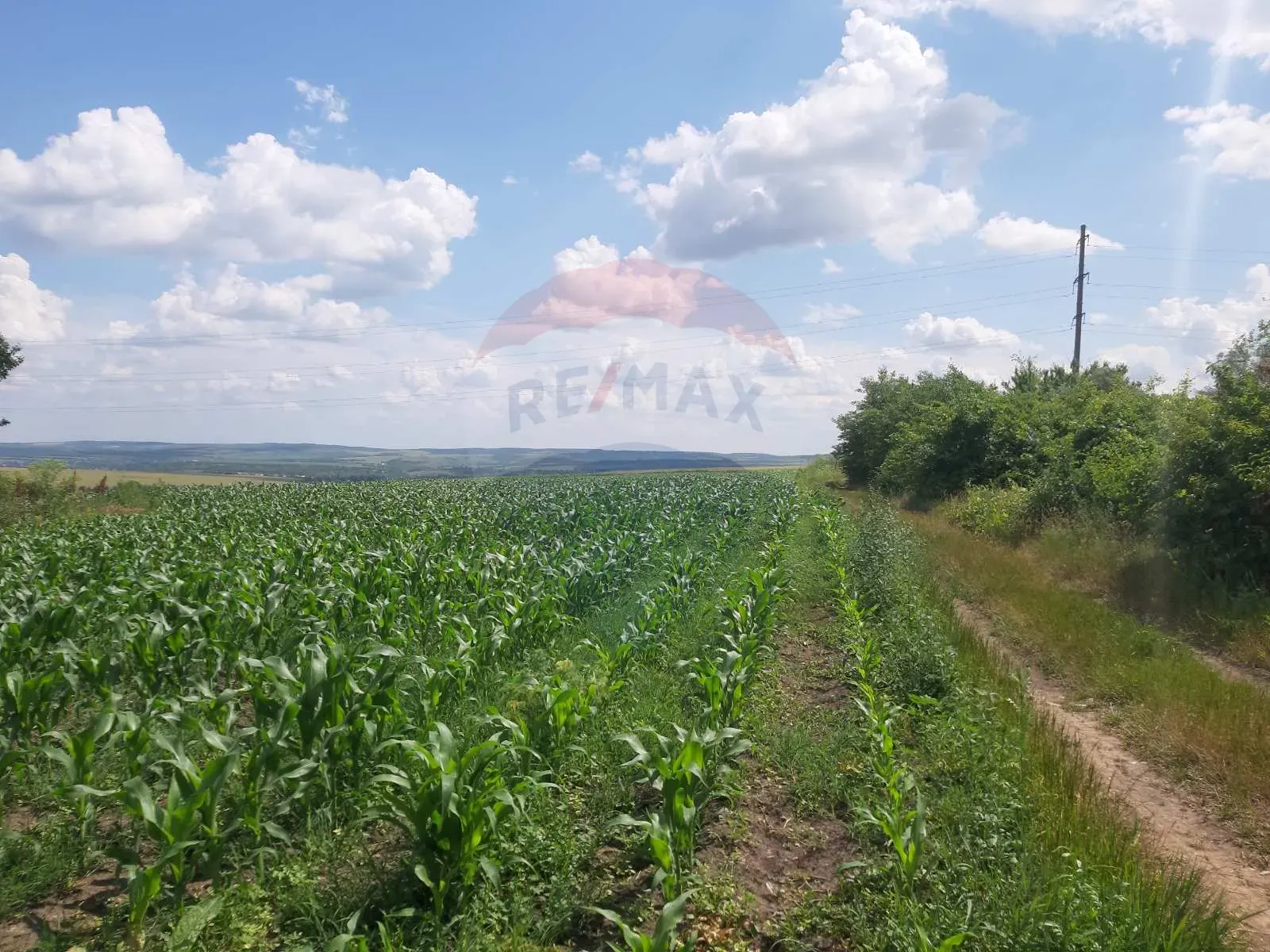 Commercial Land, 4.10 ares — Image 3