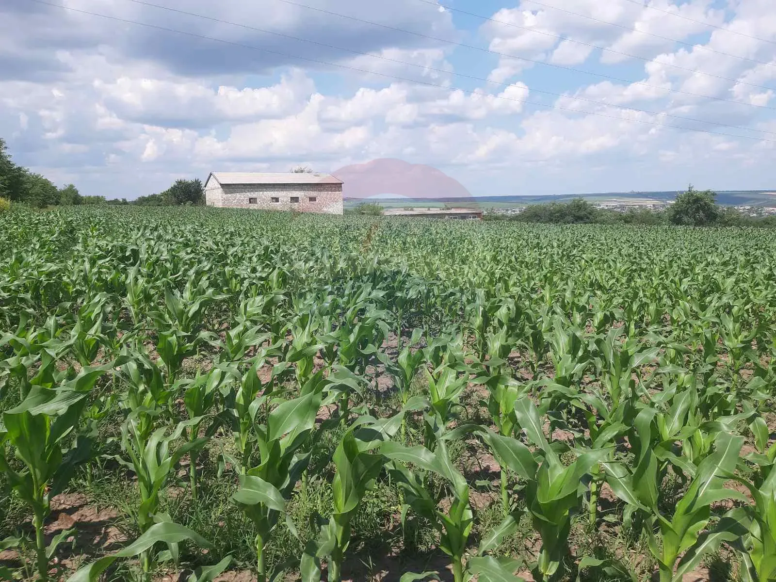 Commercial Land, 4.10 ares — Image 4