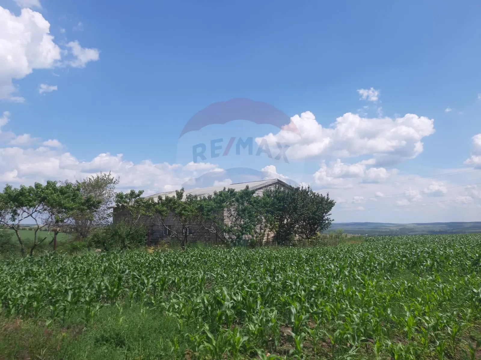 Commercial Land, 4.10 ares — Image 10