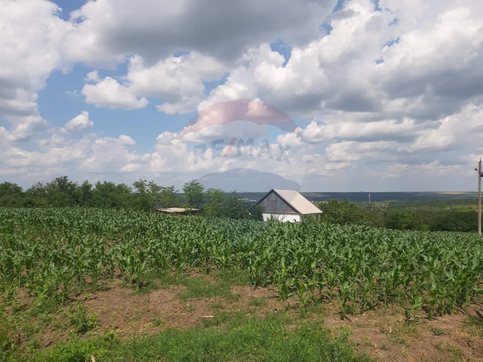 Commercial Land, 4.10 ares — Image 8