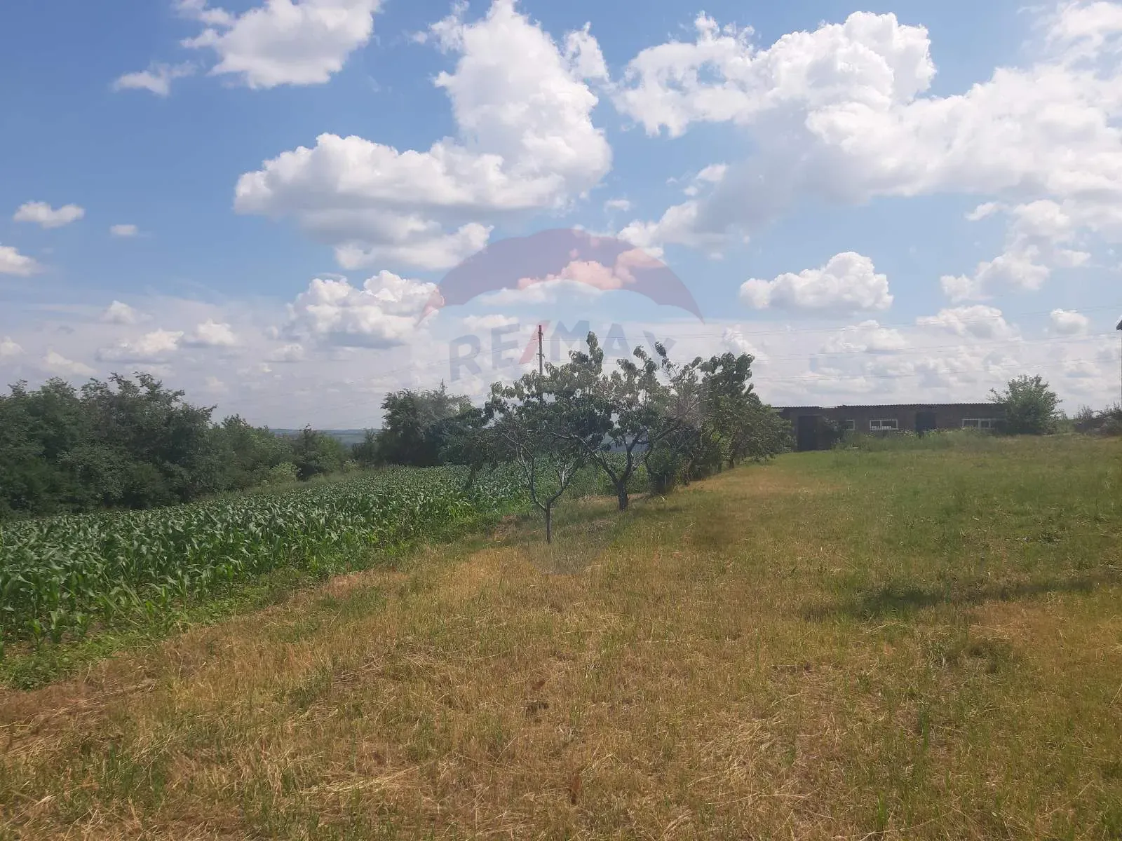 Commercial Land, 4.10 ares — Image 5