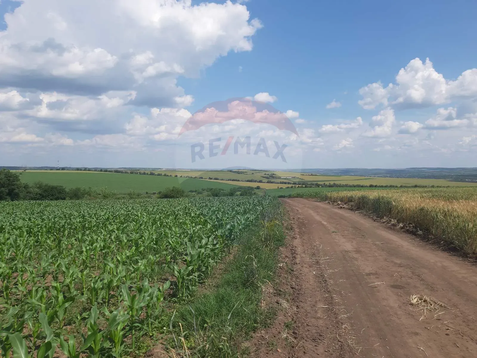 Commercial Land, 4.10 ares — Image 9