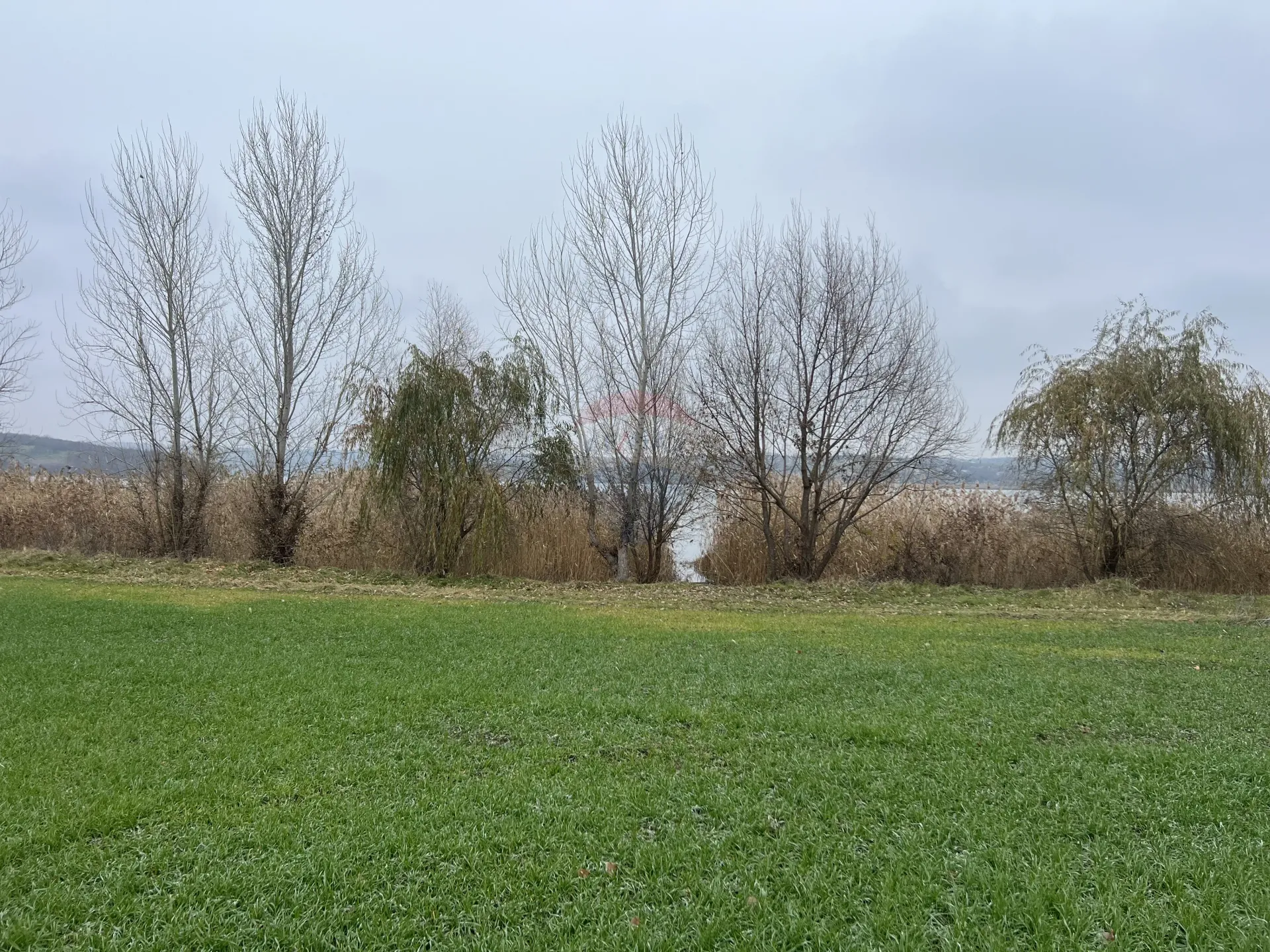 Land, 18 ares — Image 3