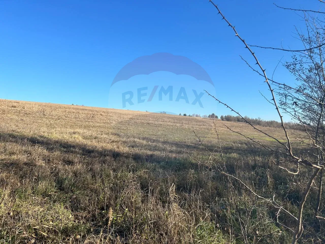 Commercial Land, 4 ares — Image 3