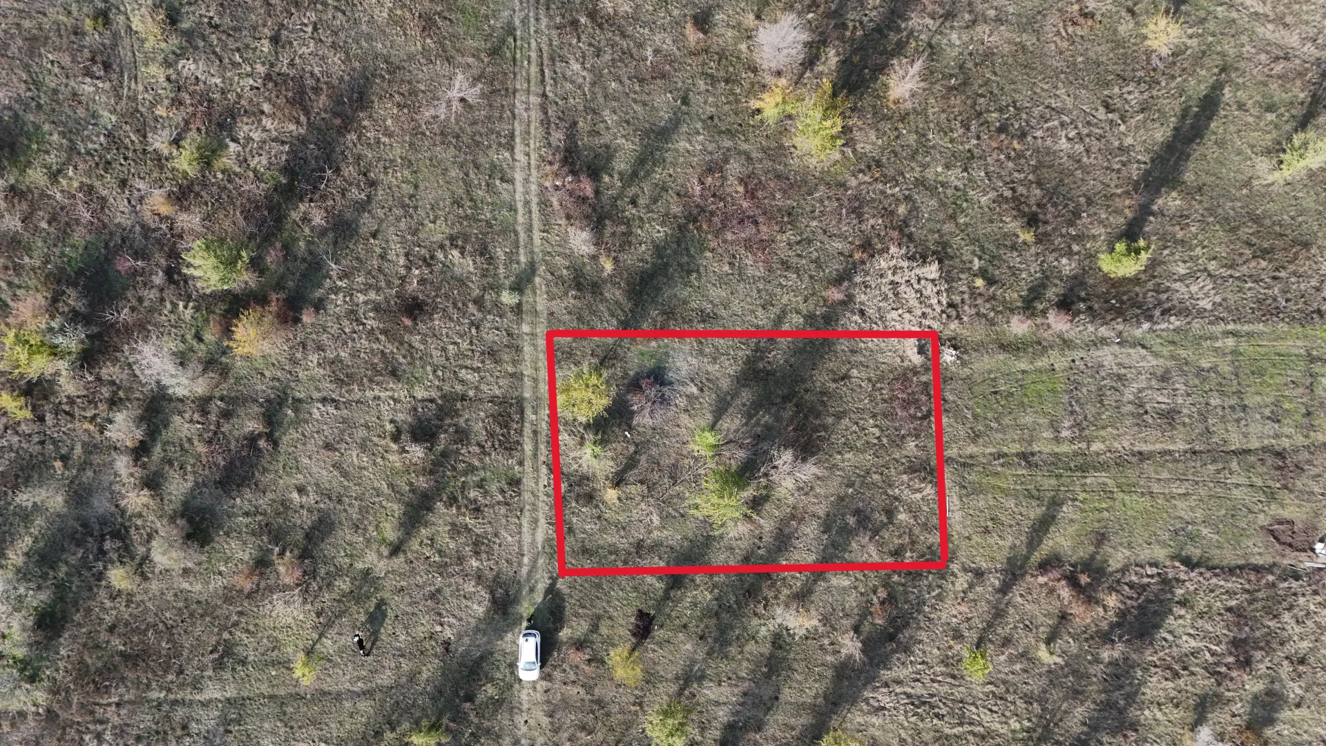 Land, 7 ares — Image 3