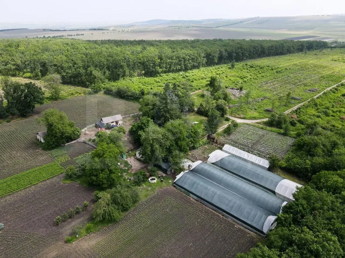 Teren, 1.74 hectare — Imagine 1