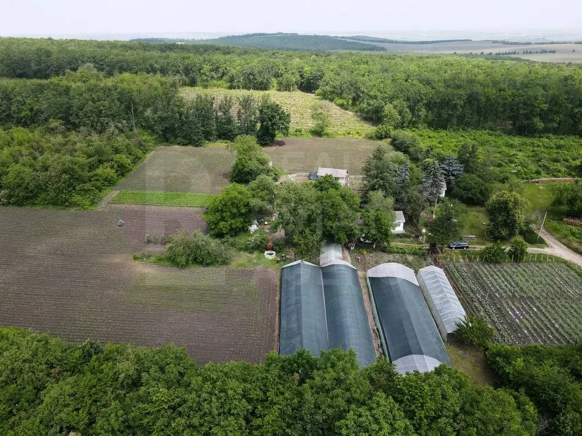 Teren, 1.74 hectare — Imagine 2