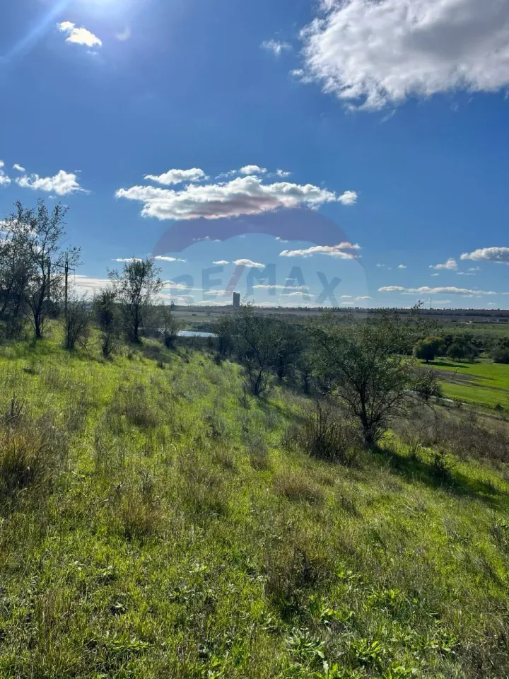 Land, 1.22 hectares — Image 4