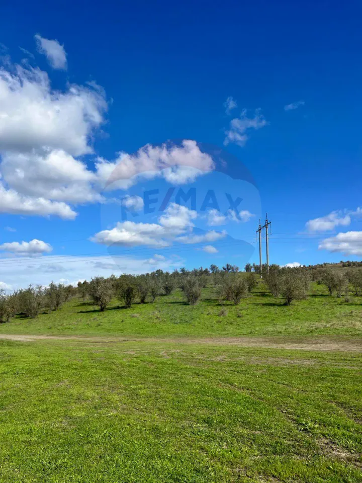 Land, 1.22 hectares — Image 2