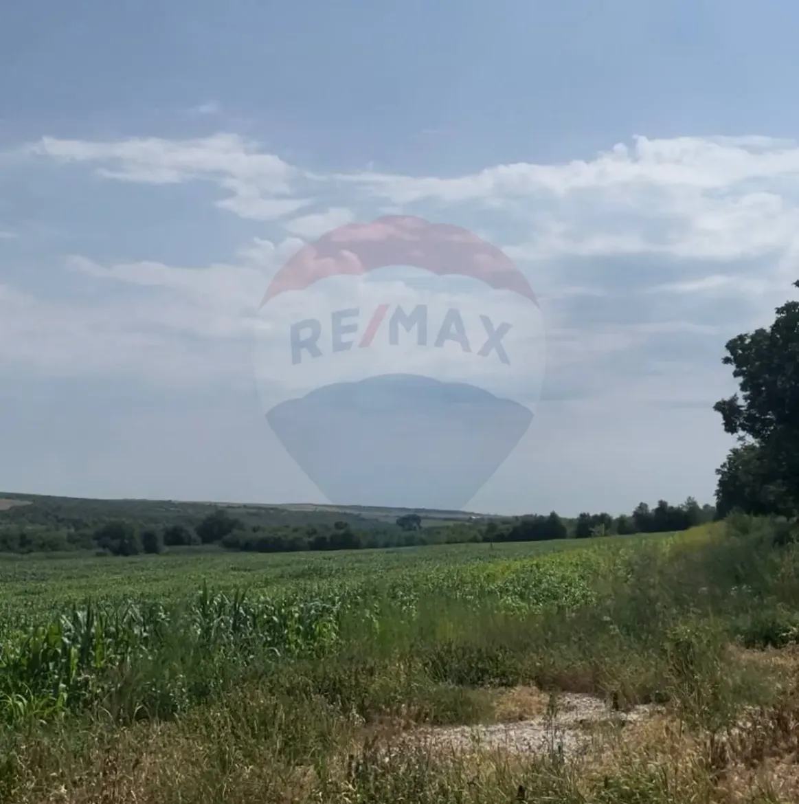 Commercial Land, 1.06 hectares — Image 2