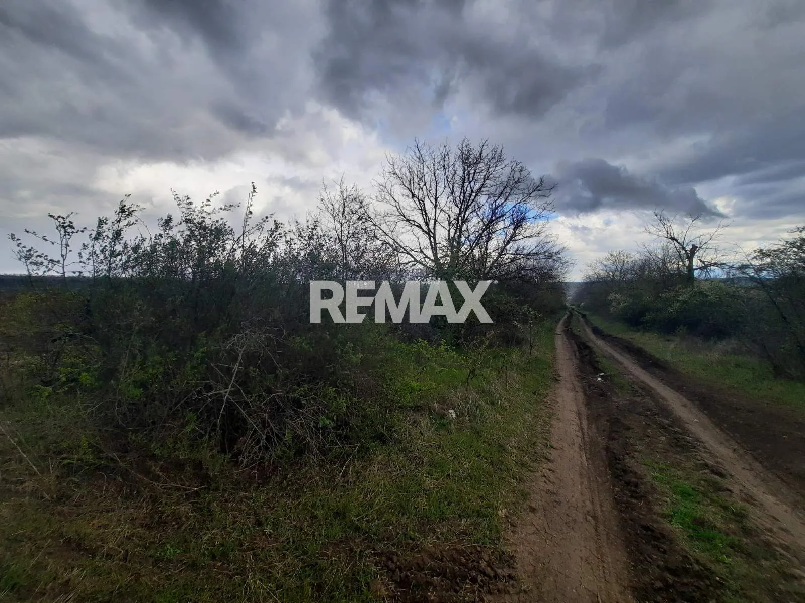 Commercial Land, 20 ares — Image 3