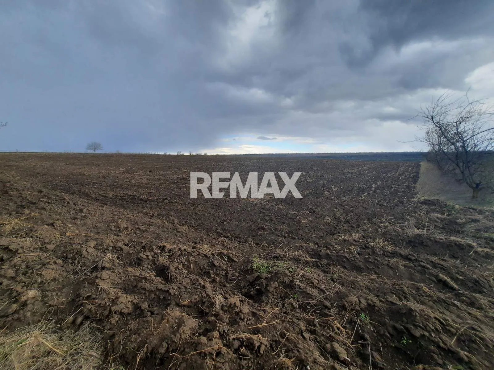 Commercial Land, 20 ares — Image 4