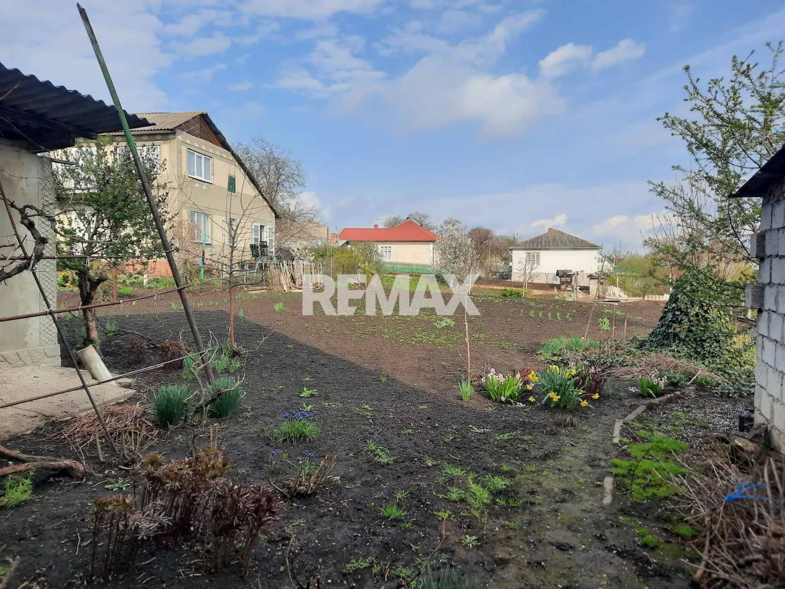 1-floor house, 150 m² — Image 3