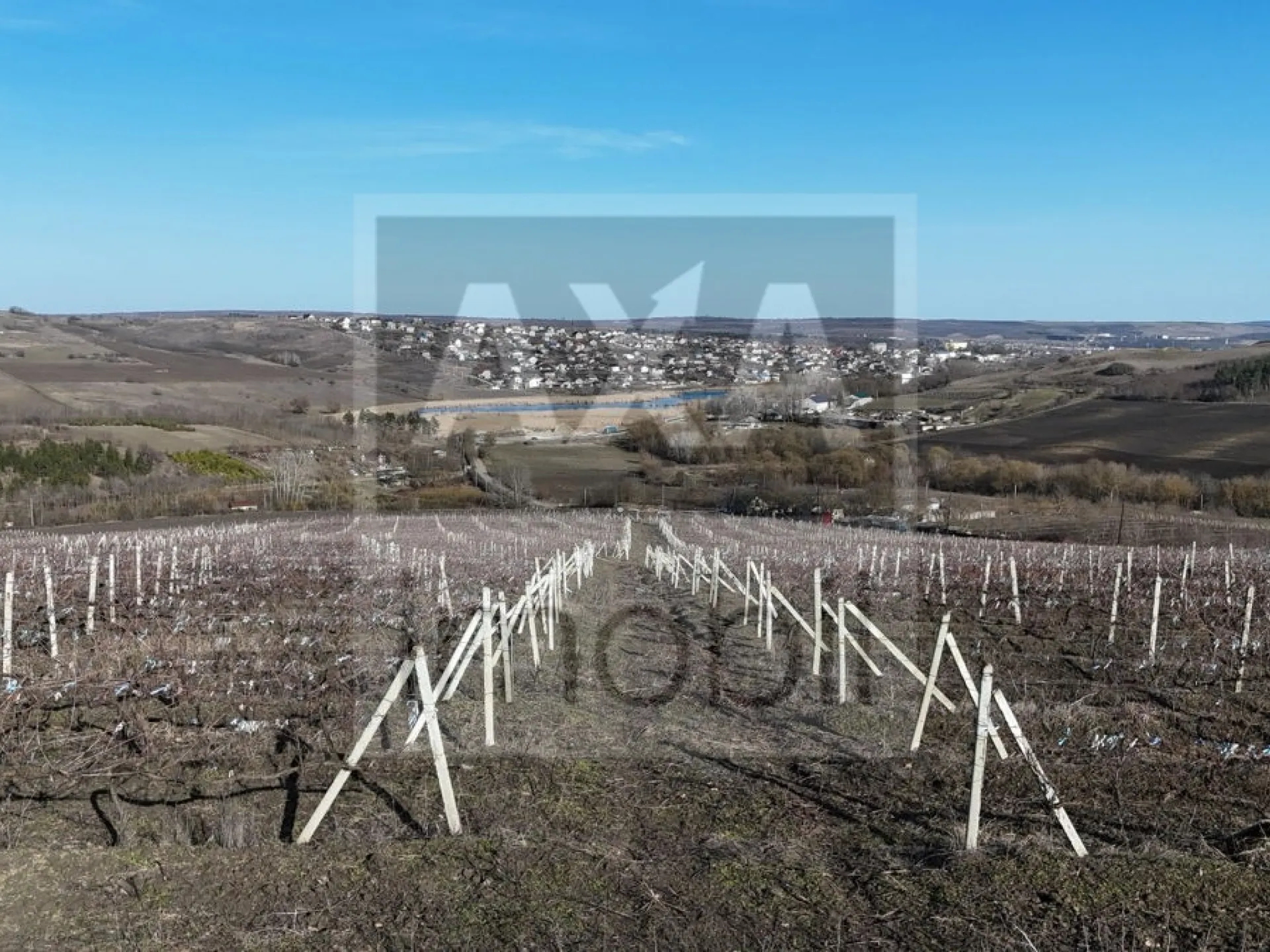 Land, 12 hectares — Image 4