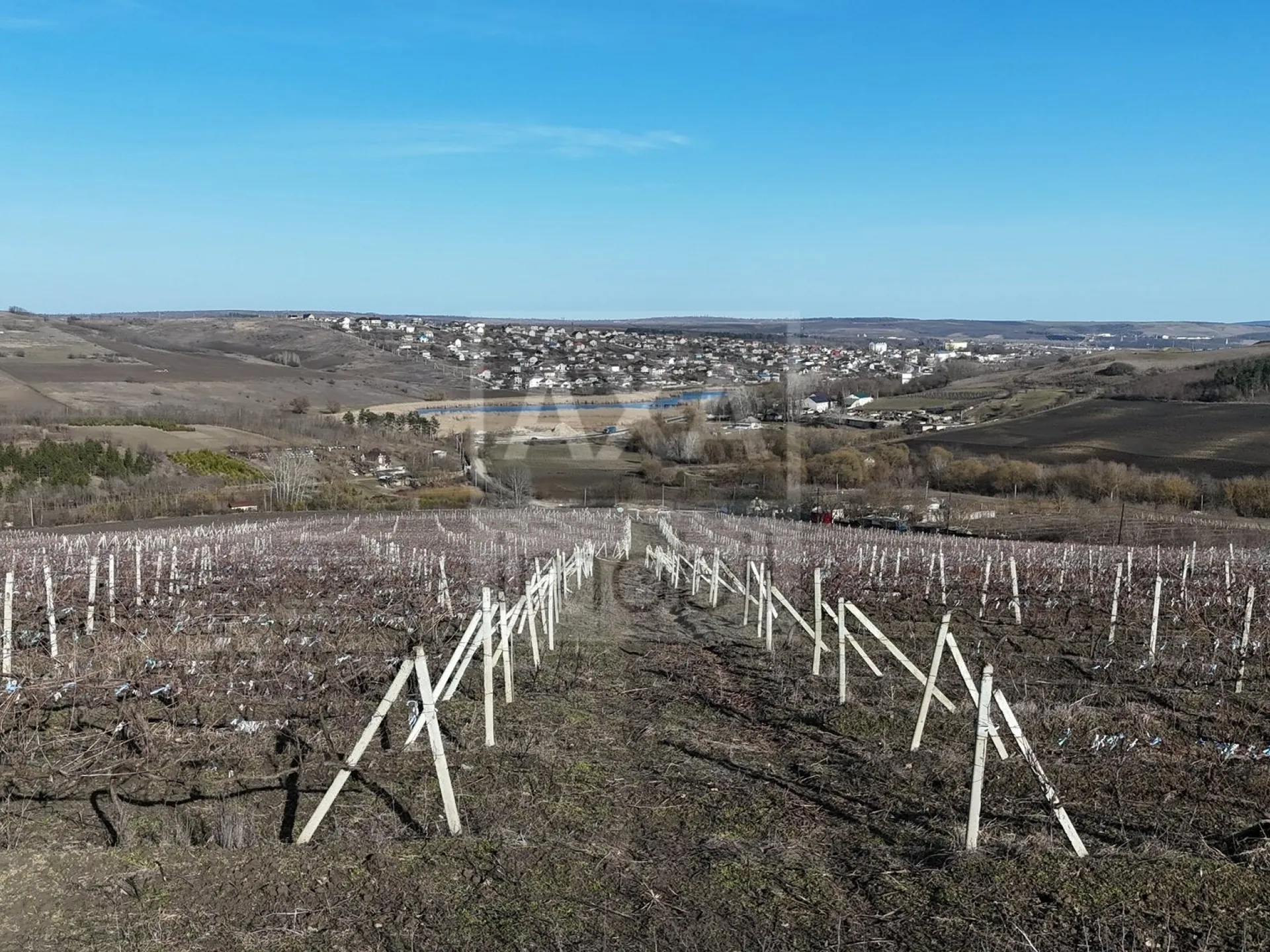 Land, 12 hectares — Image 1