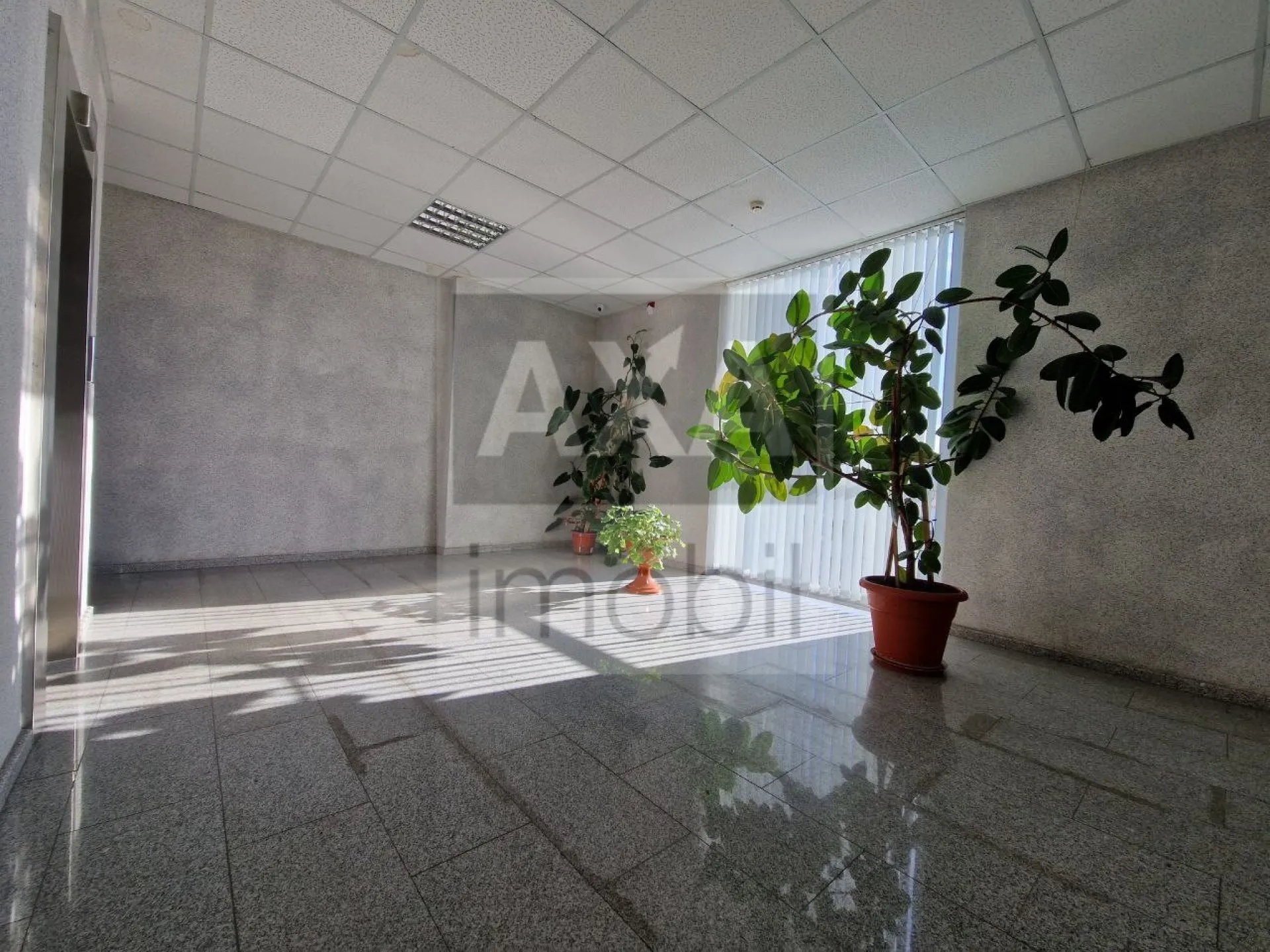 Коммерческое помещение, 257.2 м² — Изображение 4