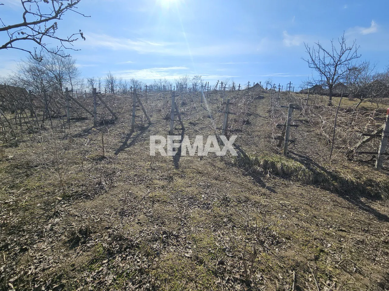 Land, 10 ares — Image 3