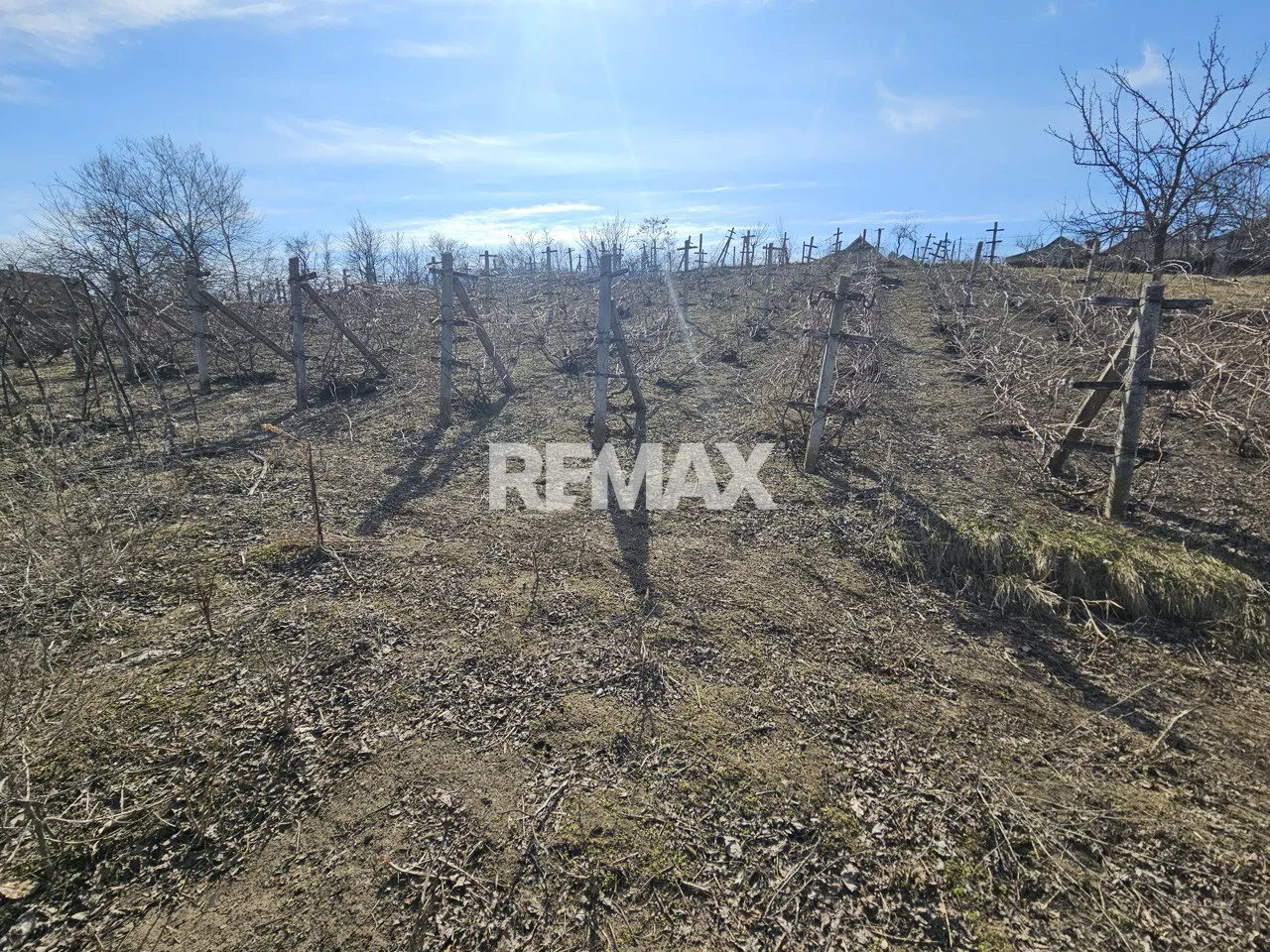 Land, 10 ares — Image 2