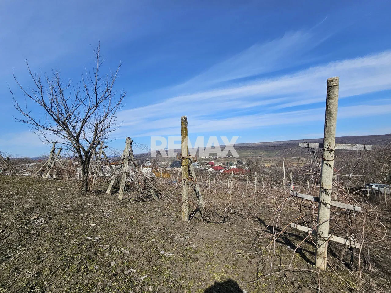 Land, 10 ares — Image 5