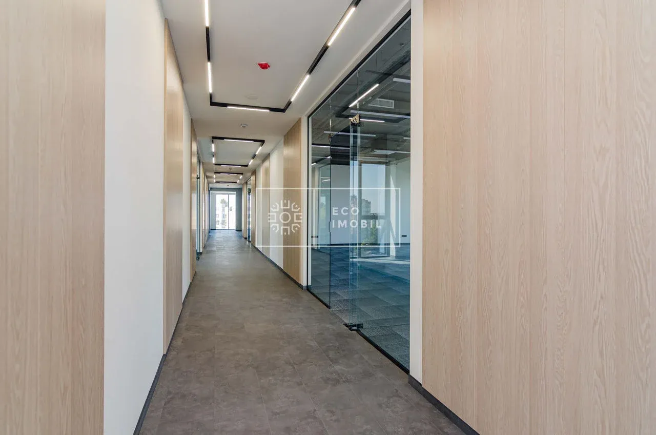1-bedroom office, 72 m² — Image 4
