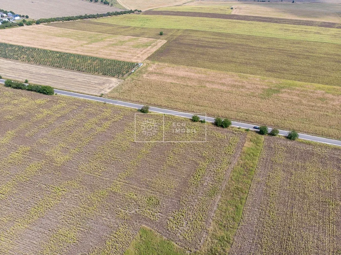 Land, 25 ares — Image 3