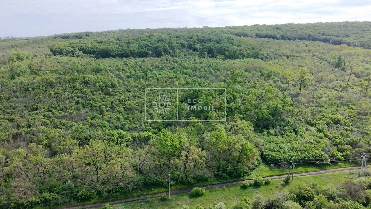 Land, 1.18 hectares — Image 4