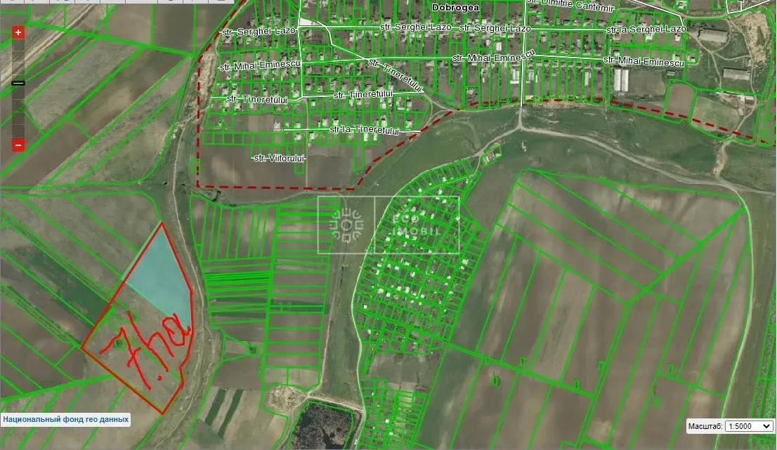 Land, 9.30 hectares — Image 2