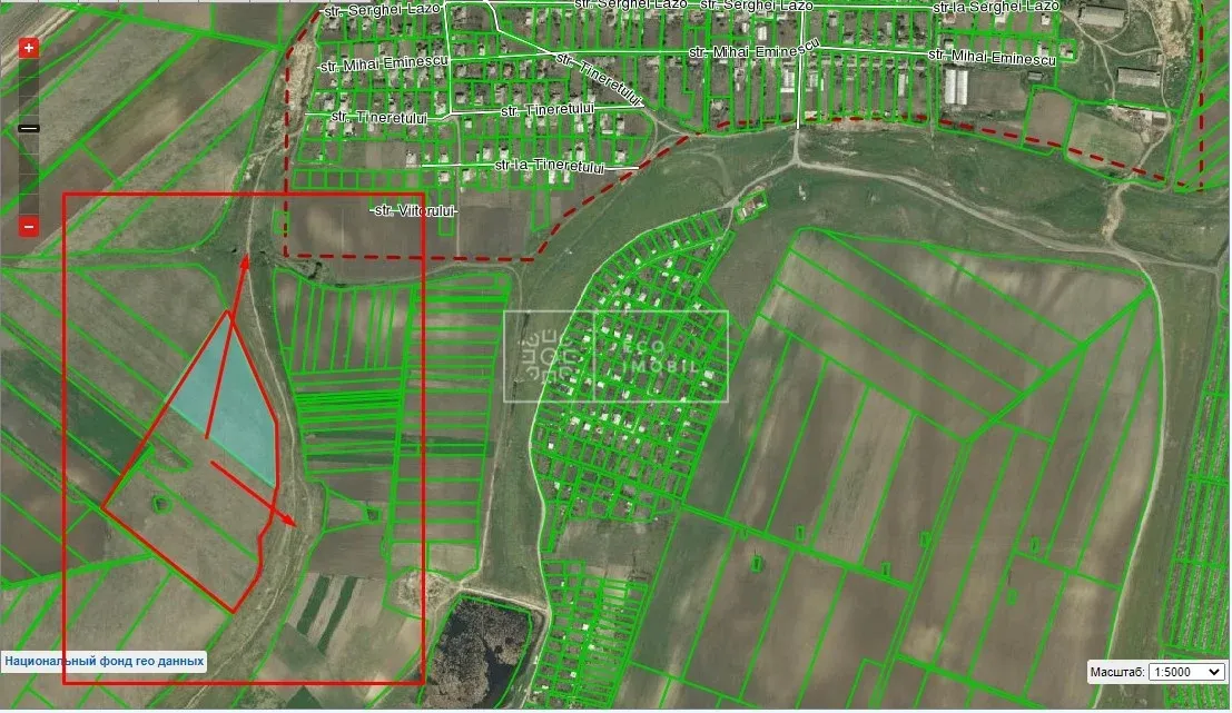 Land, 9.30 hectares — Image 4