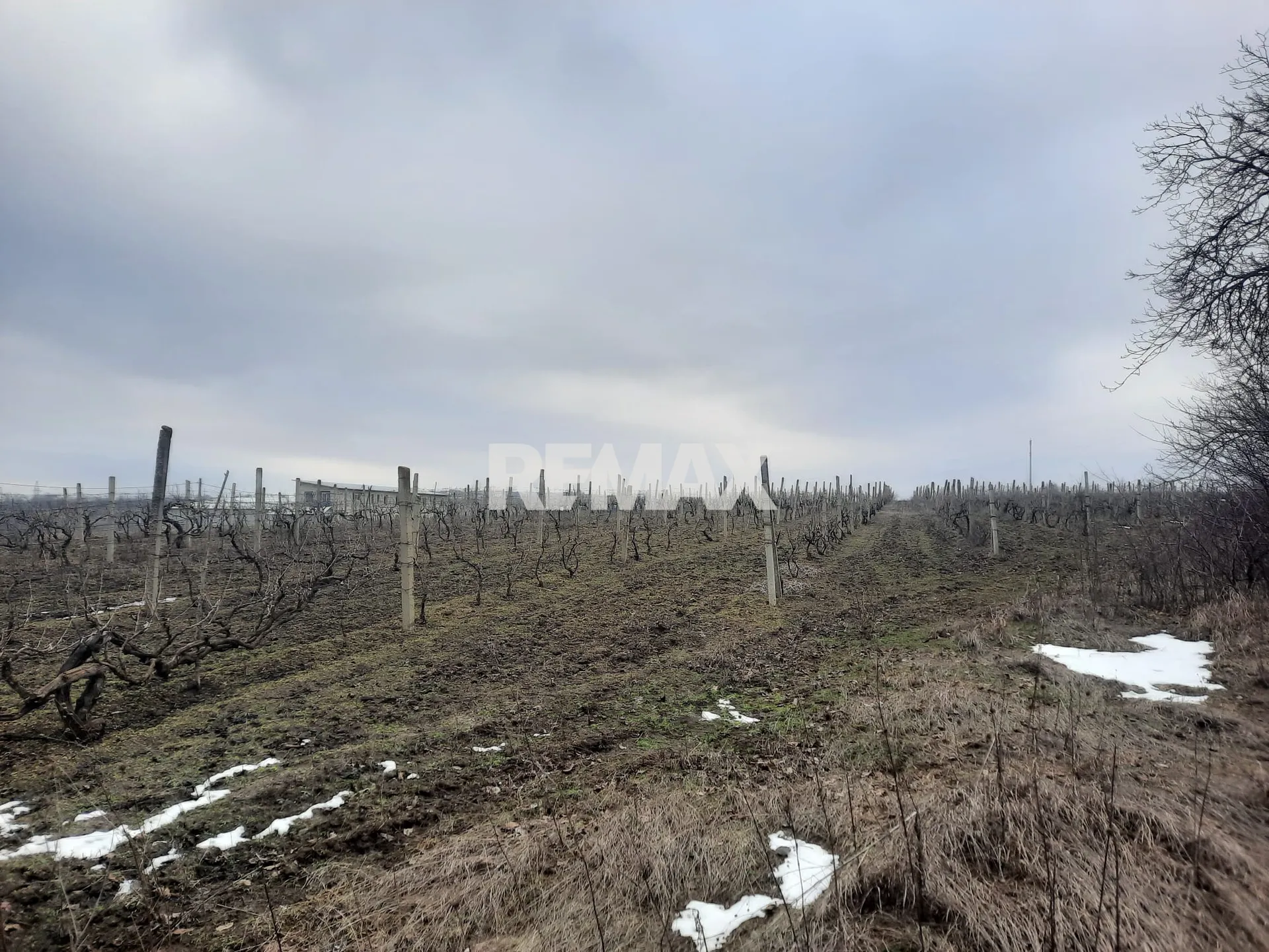 Commercial Land, 38 ares — Image 2