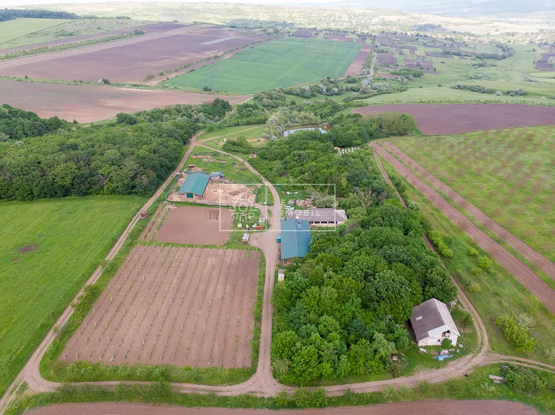 Teren comercial, 55 hectare — Imagine 1
