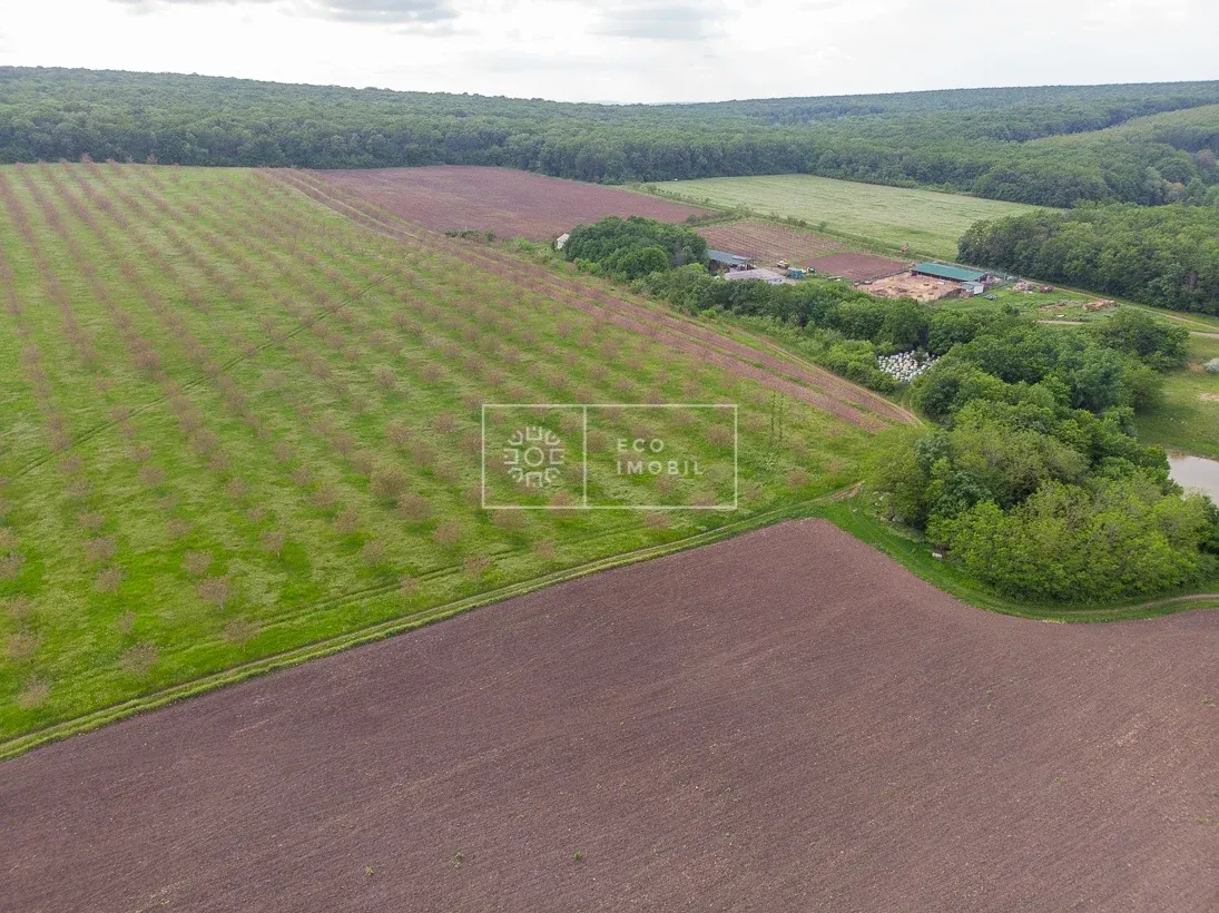 Teren comercial, 55 hectare — Imagine 3