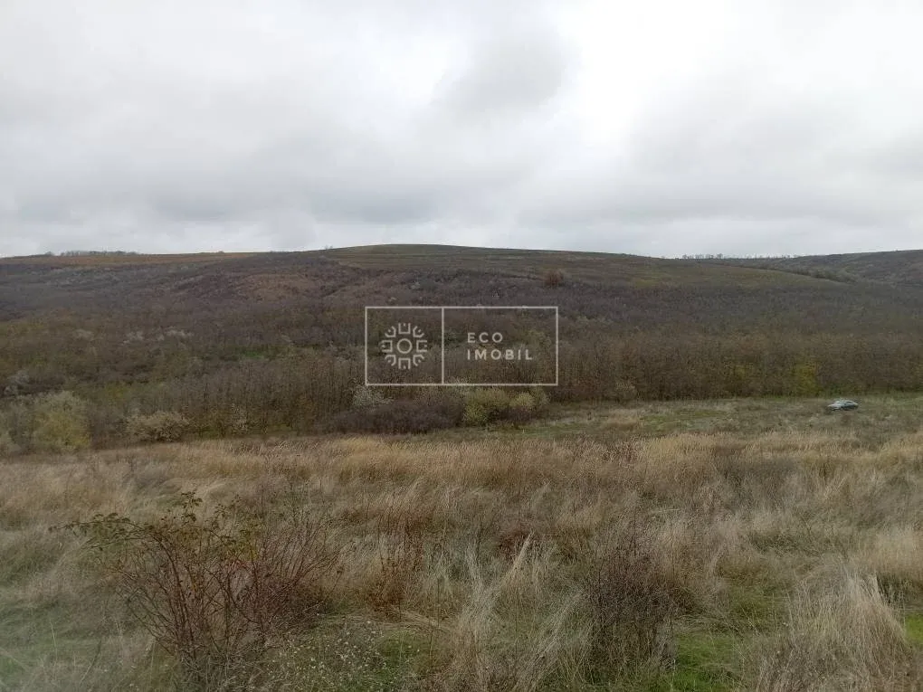 Teren, 5.28 hectare — Imagine 3