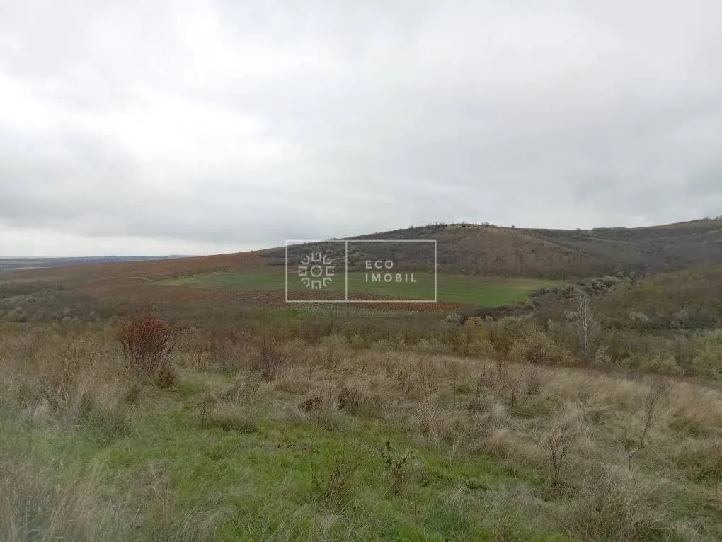 Teren, 5.28 hectare — Imagine 1