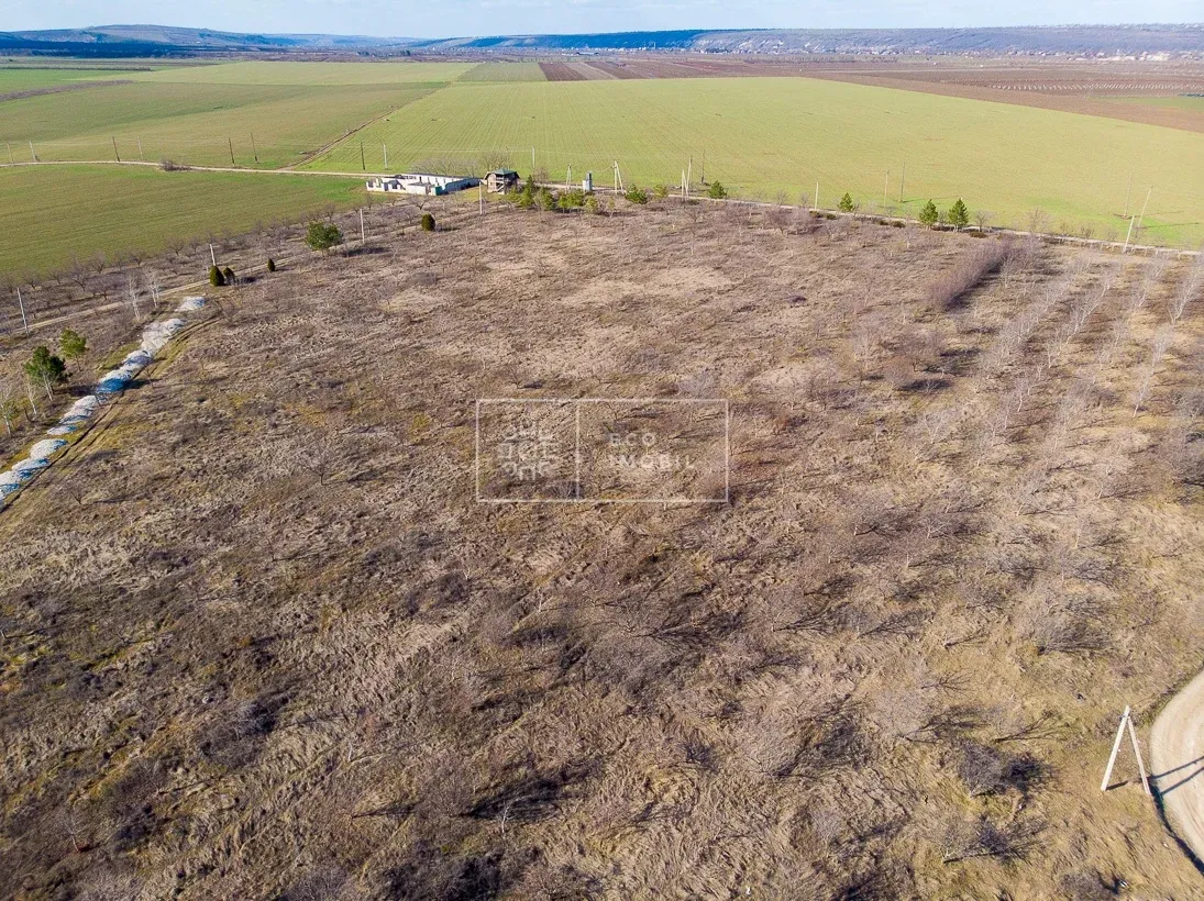 Land, 2.30 hectares — Image 4
