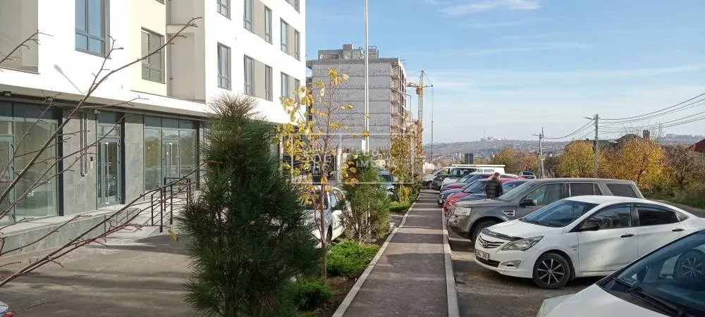 1-camere birou, 217 m² — Imagine 4