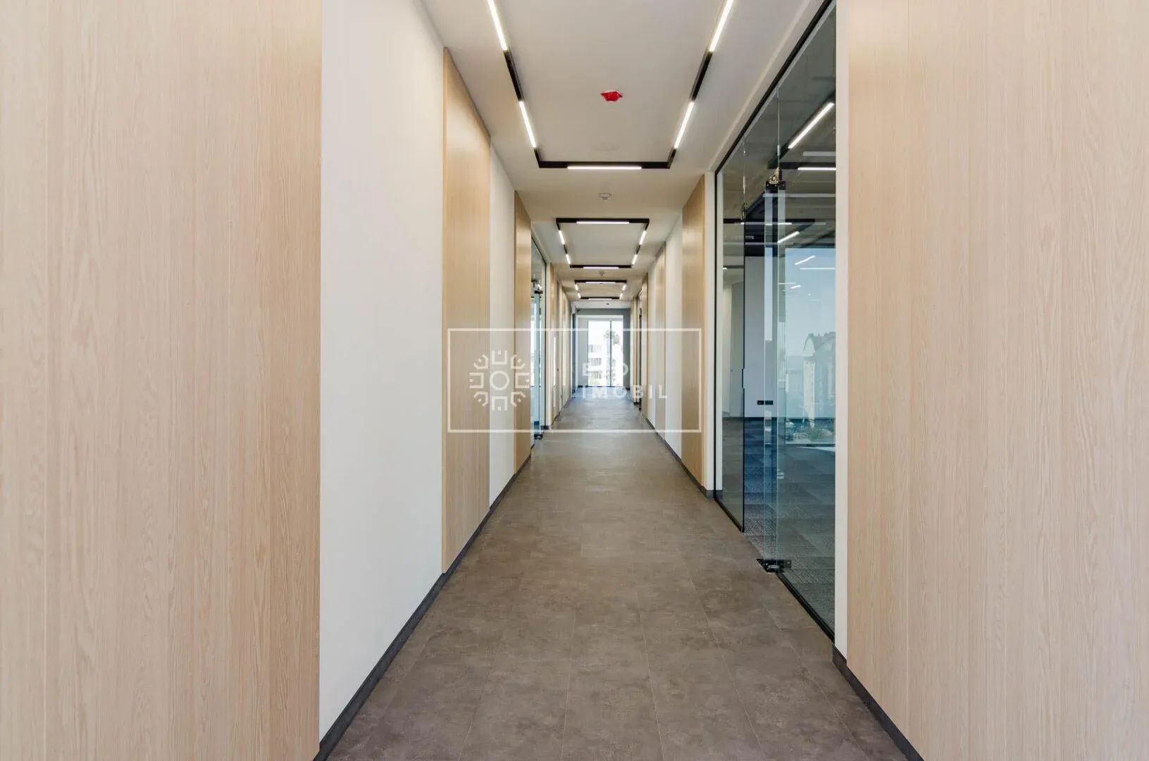 1-bedroom office, 150 m² — Image 3