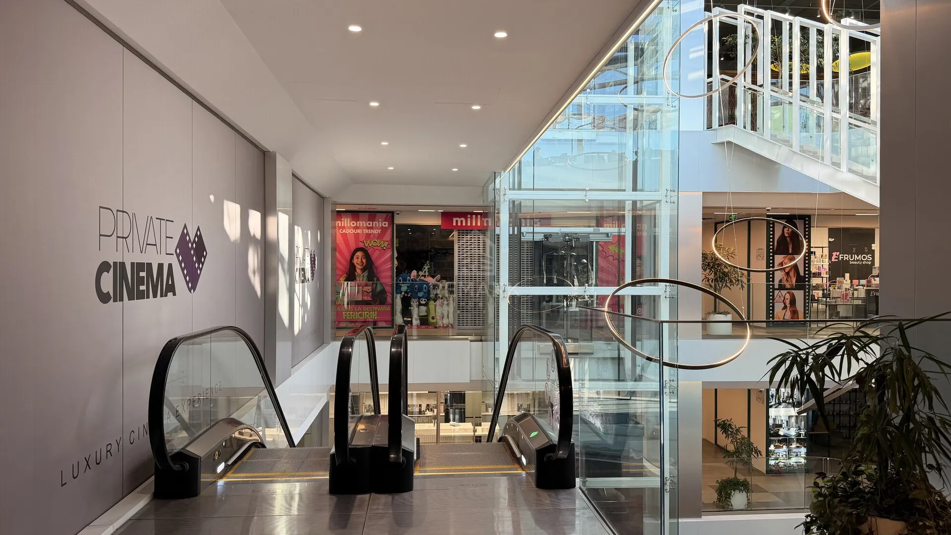 1-camere birou, 180 m² — Imagine 3