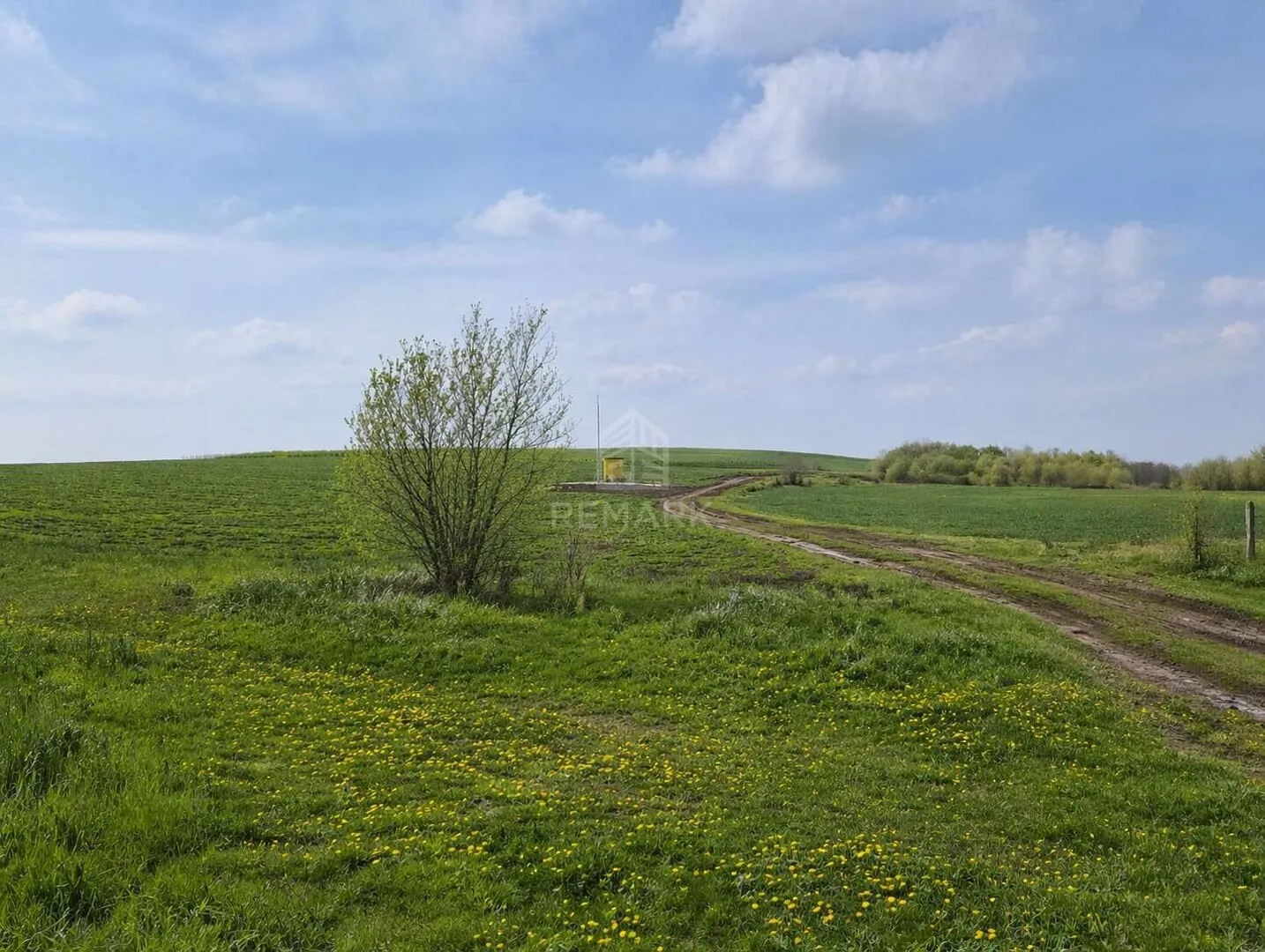 Commercial Land, 6 hectares — Image 3
