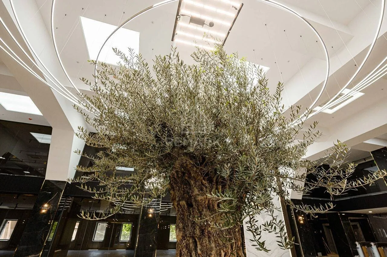 Birou, 980 m² — Imagine 4